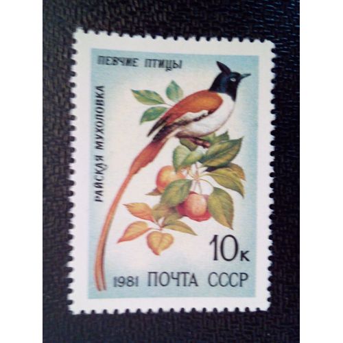 Timbre Russie - Urss - Union Soviétique Yt 4839 Moucherolle Du Paradis Asiatique (Terpsiphone Paradisi) 1981