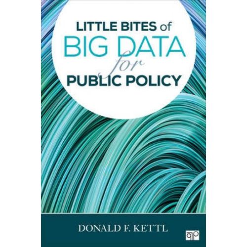 Little Bites Of Big Data For Public Policy