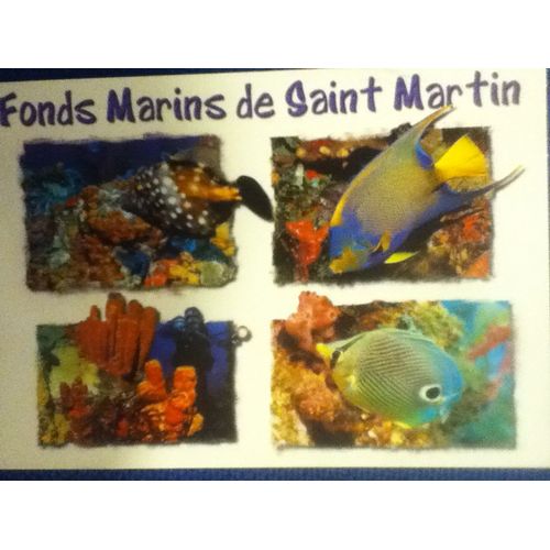 Fonds Marins De Saint Martin -