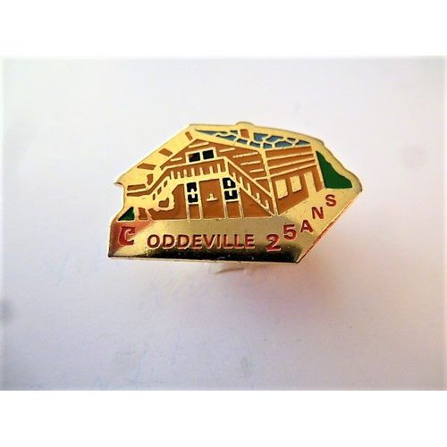 Pins Coddeville 25ans Maison Chalet