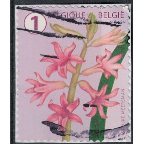 Belgique 2016 Oblitéré Used Fleur Flower Hyacinth Jacinthe Véritable Su