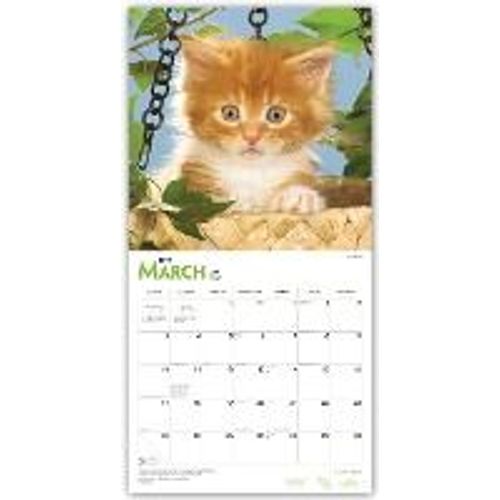 Kittens, I Love 2019 Square Wall Calendar