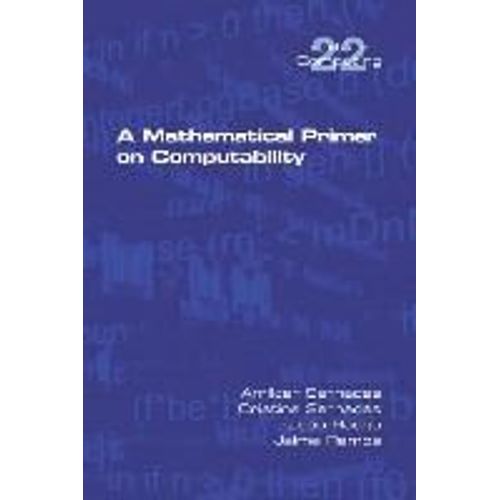 A Mathematical Primer On Computability