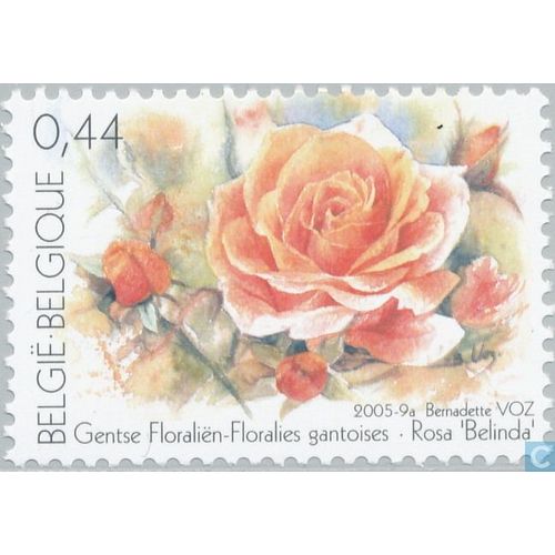 Floralies Gantoises - Rosa Belinda