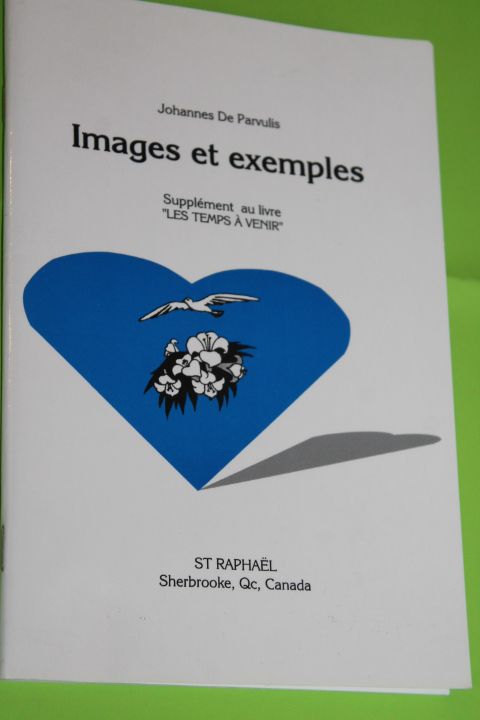 Johannes De Parvulis : Images Et Exemples - Supplément Au Livre "Les Temps À Venir"