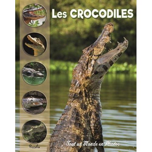 Les Crocodiles