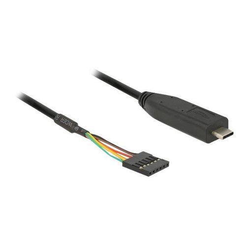 Delock - Câble USB / série - 24 pin USB-C (M) pour 6 broches TTL (F) - 3.3 V - 2 m - noir