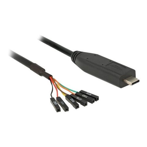 Delock - Câble USB / série - 24 pin USB-C (M) pour 6 broches TTL (F) séparé - 3.3 V - 2 m - noir