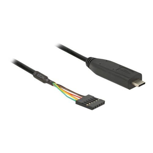 Delock - Câble USB / série - 24 pin USB-C (M) pour 6 broches TTL (F) - 5 V - 2 m - noir