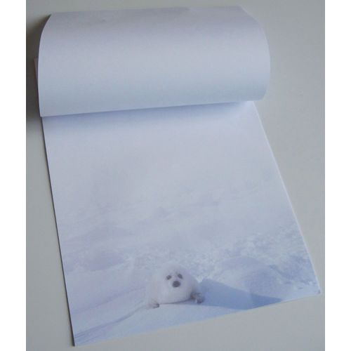 Bloc De 16 Pages Blanches Ornées D'un Bébé Phoque Dans Le Bas - Peut Servir Pour Notes Ou Papier À Lettres - 21x29.5cm - Édité Par Ifaw