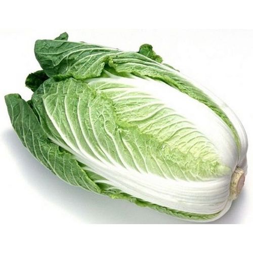 Laitue Romaine Ballon 100 Graines Bio