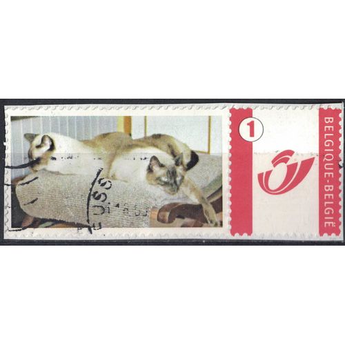 Belgique Oblitéré Sur Fragment Used Photo De Deux Chats Sur Une Chaise Su