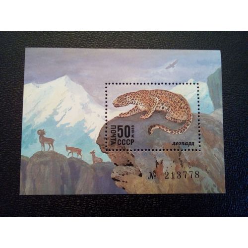 Timbre Russie Urss Yt Bf 185. Léopard Des Neiges (Panthera Uncia) 1985
