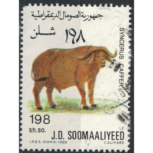 Somalie 1989 Used Animal Syncerus Caffer Buffle D'afrique