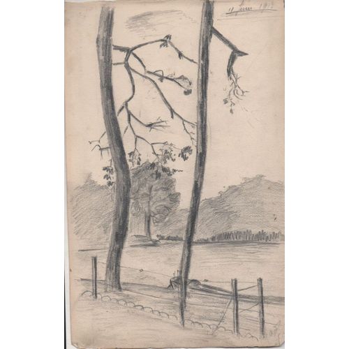 Ancien Bloc De Dessin , 4 Croquis D'arbres Au Crayon, 06/1913, Ayant Appartenu À Madeleine Bourlaut Paris Et La Frette Montigny
