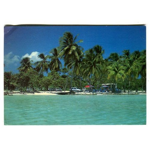 Carte Postale - Plage De Sainte Anne - Antilles - Guadeloupe