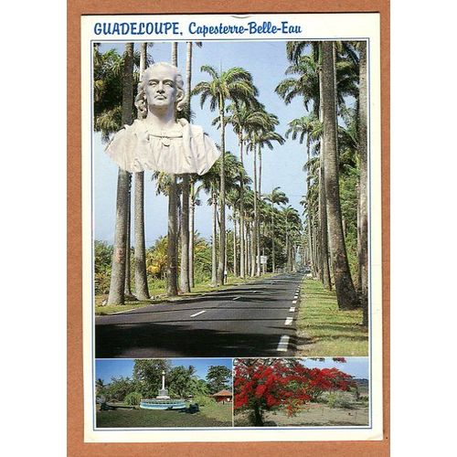 Carte Postale - Différentes Vues - Capesterre Belle Eau - Antilles - Guadeloupe