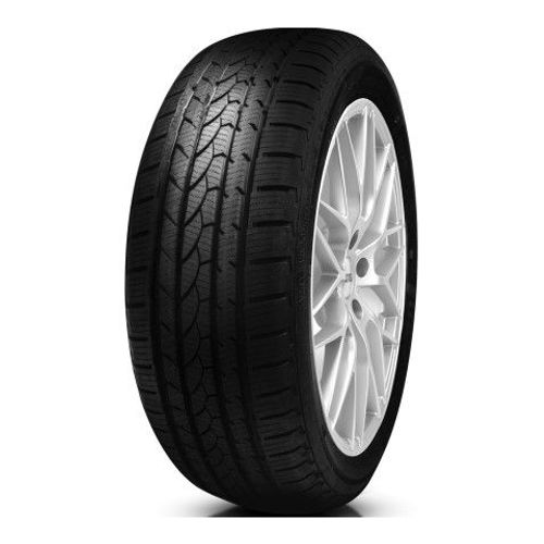 Pneu en 165/65 TR14 TL 79T MILESTONE GREEN4SEASONS, ALL-SEASON PW, F/C/71