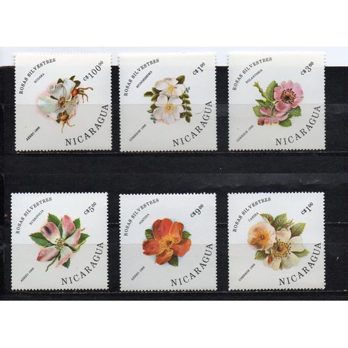 Nicaragua- Série De 6 Timbres Neufs- Roses Sylvestres