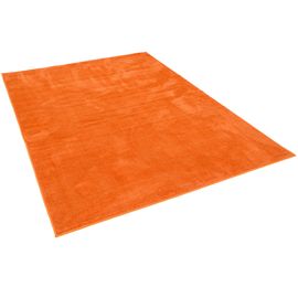 Snapstyle Teppich Deluxe En Luxueux Poil Long Et Doux Super Soft Orange 140x200 Cm