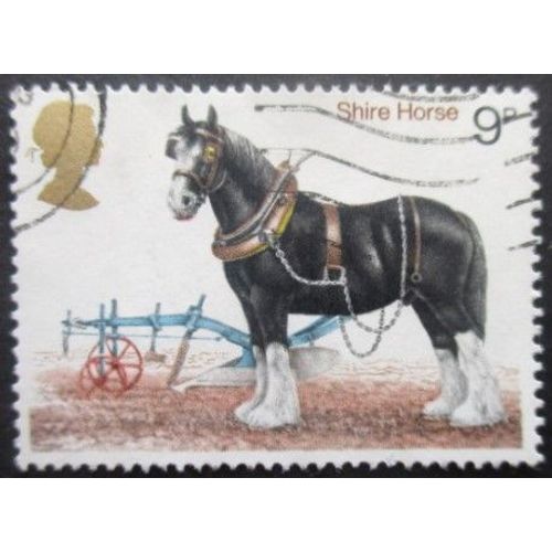 Royaume-Uni N°868 Cheval Oblitéré