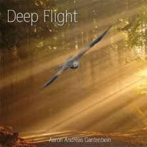 Deep Flight
