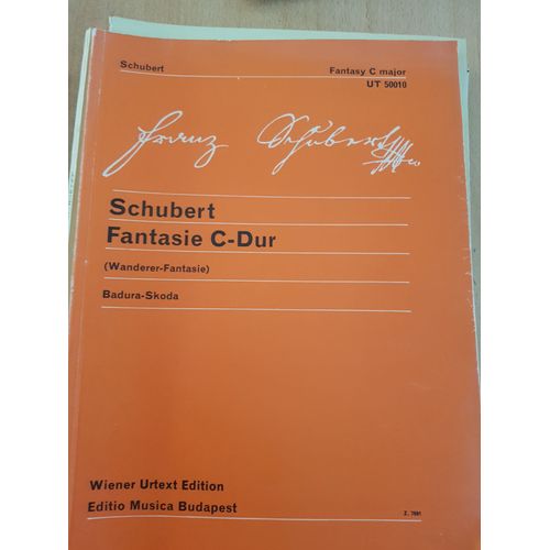 Schubert - Wanderer Fantasie Pour Piano