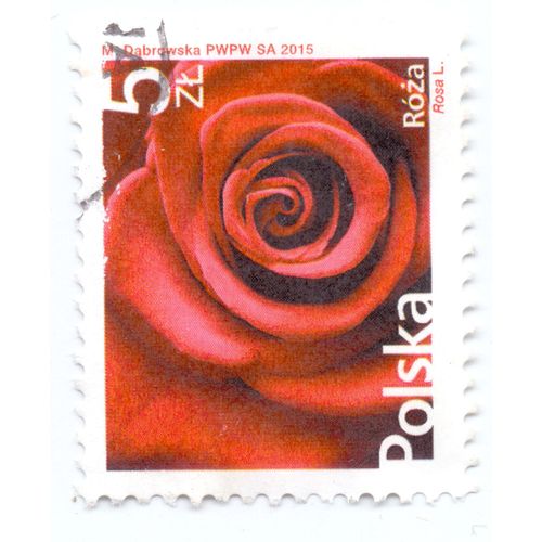 Timbre Roza 5 Zl Polska 2015