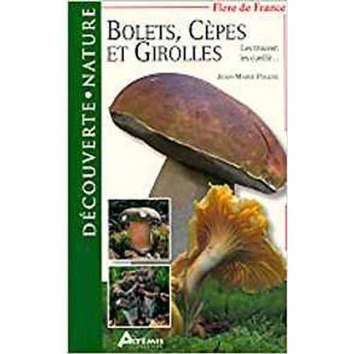Bolets, Cèpes Et Girolles