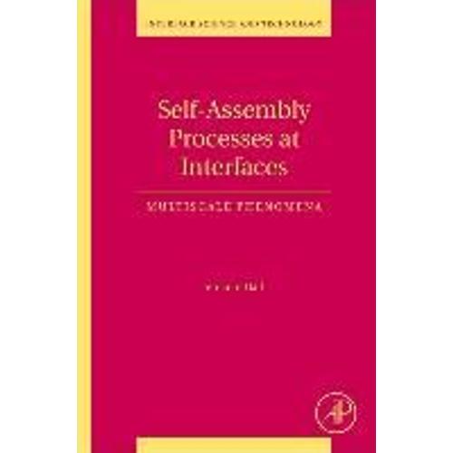 Self-Assembly Processes At Interfaces