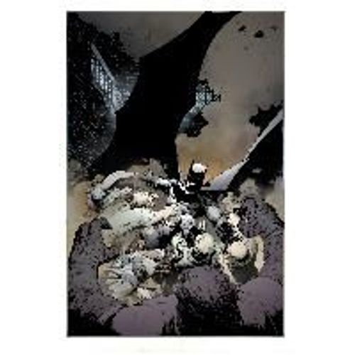 Batman: The Court Of Owls Saga