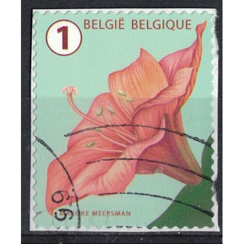 Belgique 2016 Oblitéré Used Flower Fleur Amaryllis Su