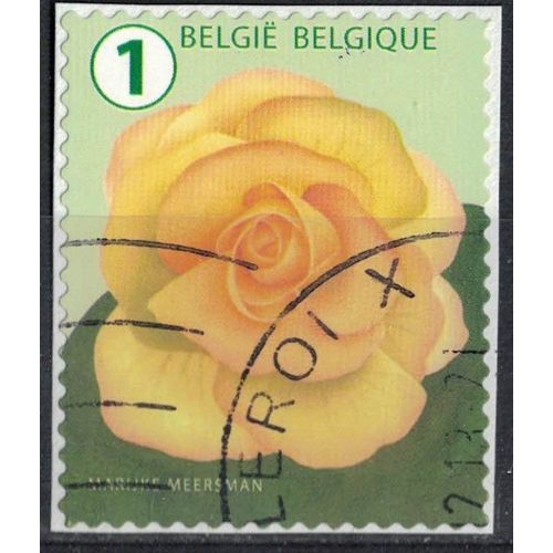 Belgique 2016 Oblitéré Used Flower Fleur Bégonia Su