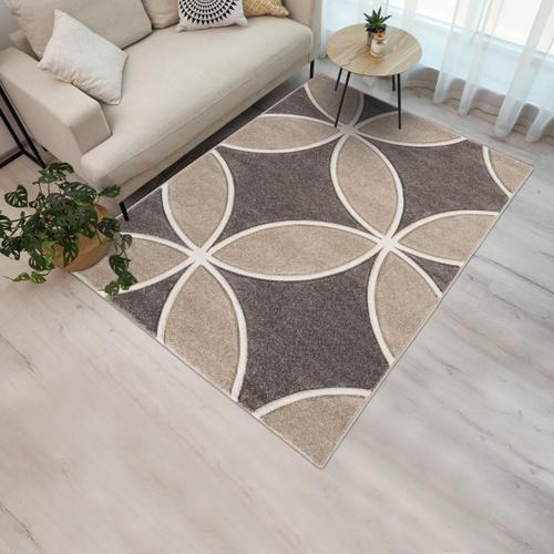 Tapis Salon Curcu 240x340 Tissé Marron