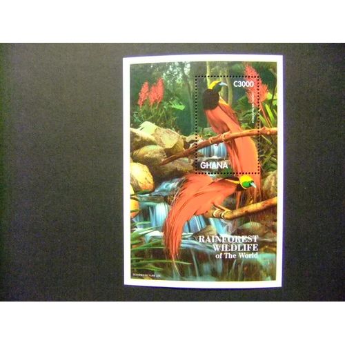 Ghana 1996 Faune De La Forêt Tropicale Yvert Bloc 293 ** Mnh