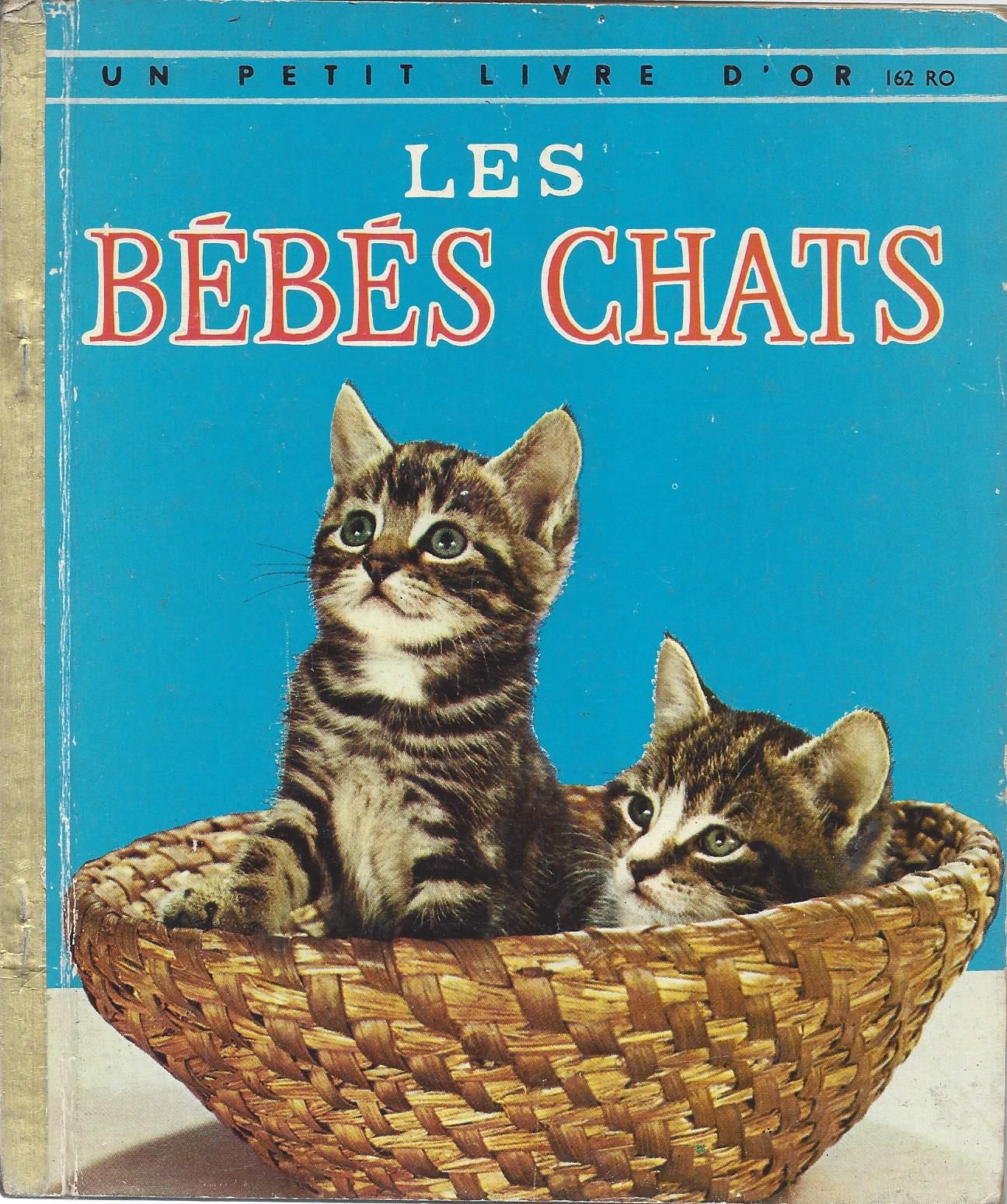 Les Bebes Chats Rakuten