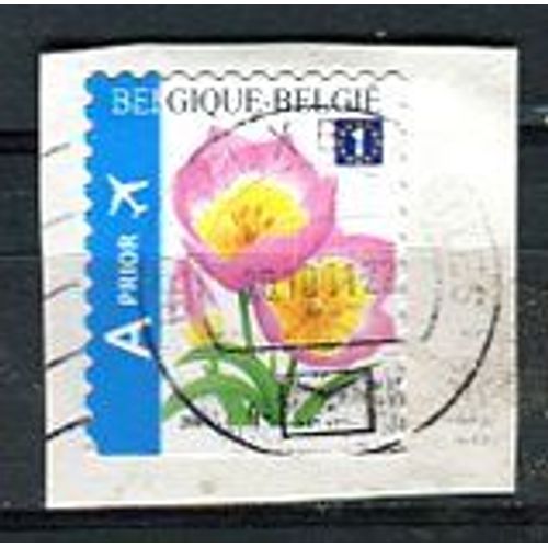 Timbre Oblitéré - " Tulip Bakeri Selfadh " - 2009 - Belgique