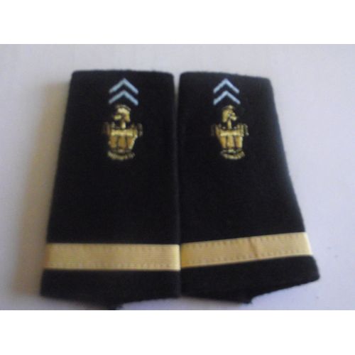 Fourreaux Neuf Grade Sous-Lieutenant Transmissions Armée De Terre