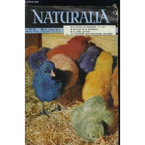 Naturalia N° 55 - Sciences Naturelles : Plaisanteries, Publicité, Mystification Par Le Dr Lucien Marceron, La Journée D Un Bouquetin Par Gérard Vienne, Animaux De La Préhistoire Par Raymond Furon, La(...)