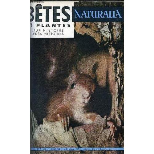 Naturalia Betes Et Plantes N° 85 - Le Roman D Un Écureuil Par Philippe Joly, A Paris, Il Y A 20 000 Chats Abandonnés Par R. Quemy, L Extravagant Voyage De La Golden Delicious, Une Chasse A L Éléphant(...)