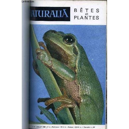 Naturalia Betes Et Plantes N° 118 - Hommes Et Crocodiles A Madagascar Par C.M., Nos Tétras Par Tony Burnand, Des Alliés Méconnus De L Agriculteur (2) Par Pierre Martin, Requins De Polynésie Par M.(...)