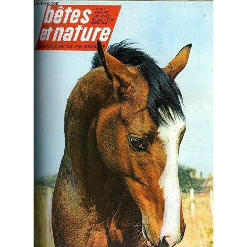 Betes Et Nature N° 20 - Redevenus Sauvages, Les Chiens D Amada Par Françoise Robelin, Orang-Outan A L Air Songeur Par Jean Decarouge, La Vie Sauvage Du Delta Du Danube Par René Pomi, Abeilles(...)