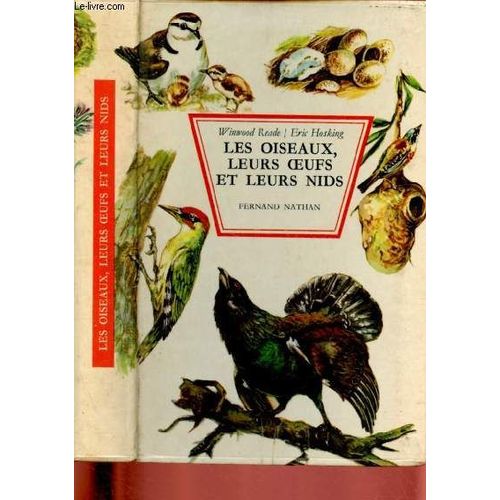 Les Oiseaux, Leurs Oeufs Et Leurs Nids