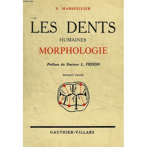 Les Dents Humaines Morphologie