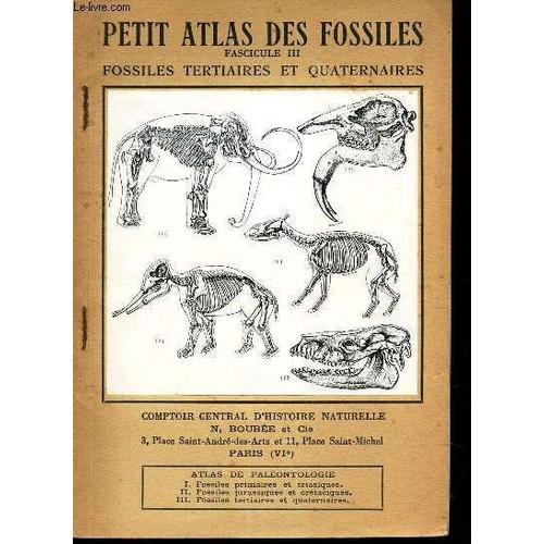 Petit Atlas Des Fossiles - Fascicule Iii : Fossiles Tertiaires Et Quaternaires.