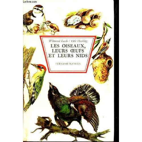 Les Oiseaux, Leurs Oeufs Et Leurs Nids.
