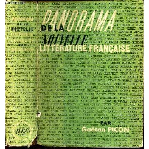 Panorama De La Nouvelle Litterature Francaise