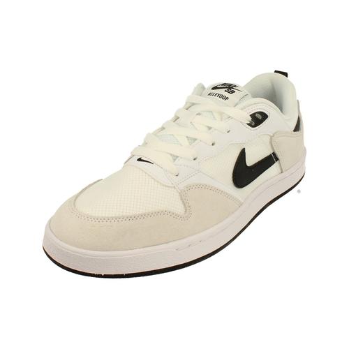 Chaussures Nike Sb Alleyoop Trainers Cj0882 100