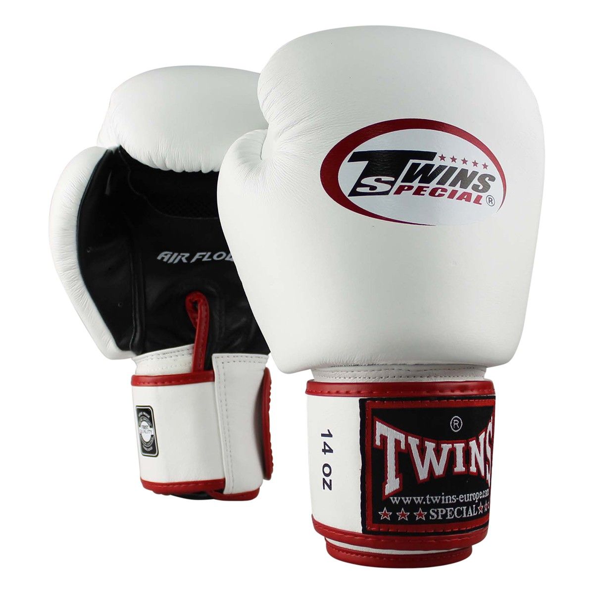 10 Meilleures Gant Boxe Twins De 2025