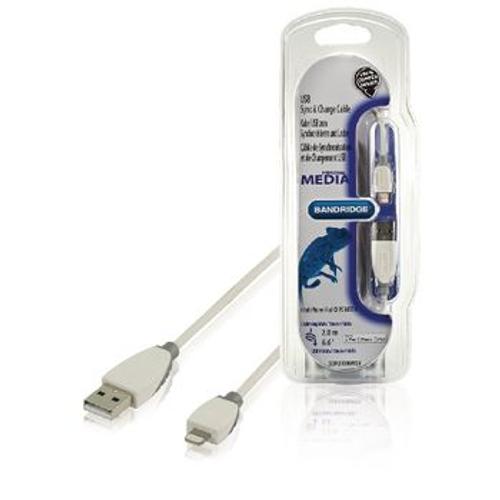 Bandridge Blue - Câble Lightning - USB mâle pour Lightning mâle - 1 m - blanc